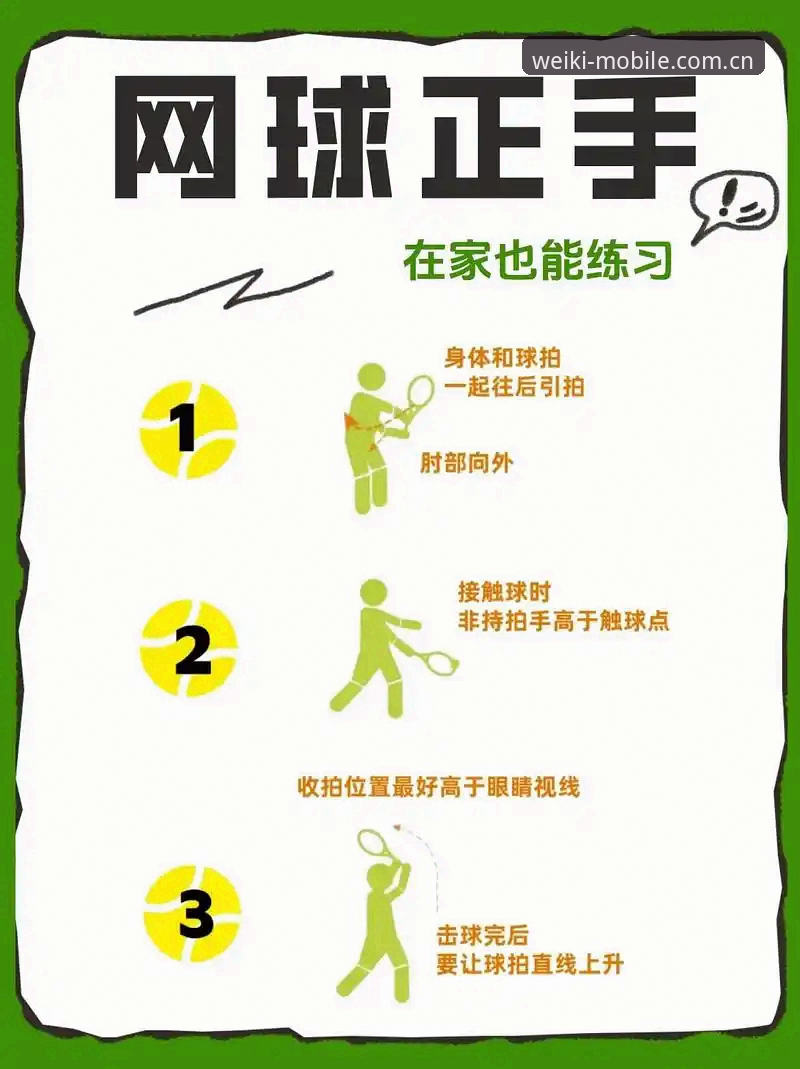 维基体育官网 5步快速上手维基体育官网,指尖掌控精彩App的实战玩法